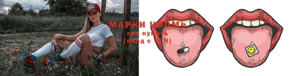 хмурый Алексин