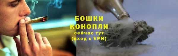 шишки Алзамай