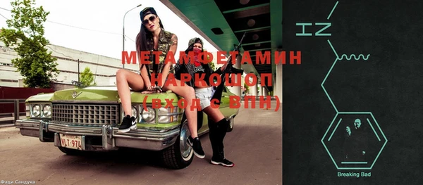 хмурый Алексин