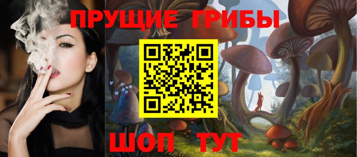 Новоалександровск  Галлюциногенные грибы GOLDEN TEACHER  Вход с VPN 