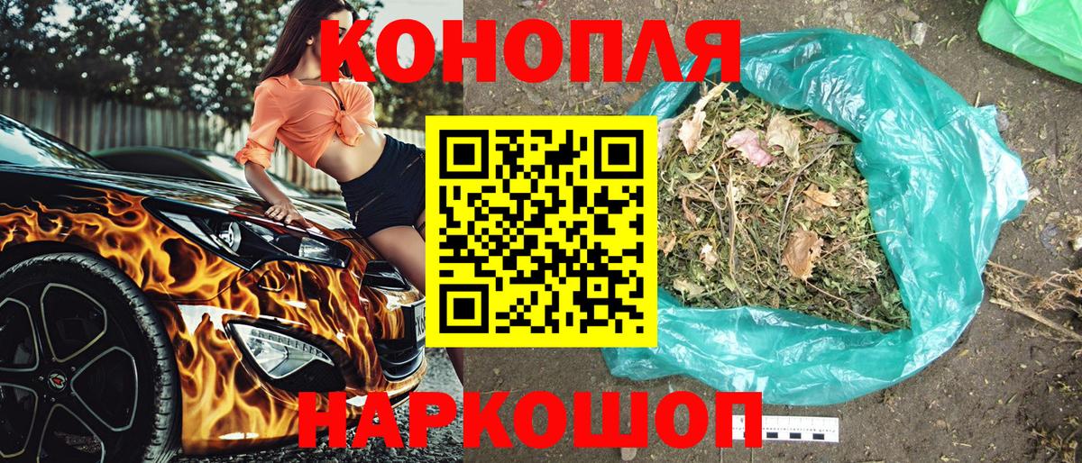 Канабис сатива Новоалександровск